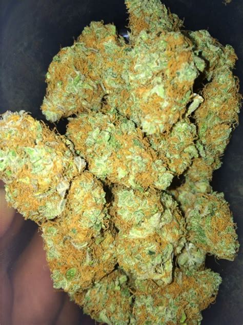 gucci kush|gucci og strain.